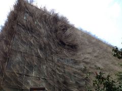 iphone_upload_pic-上海琉璃艺术博物馆