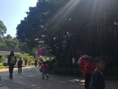 -天河儿童公园