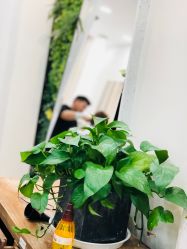 -梳蕾娜 HAIR SALON