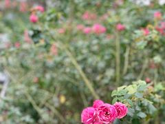 -奉浦四季生态园