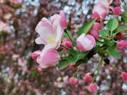 -大望京儿童游乐场