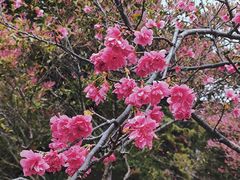-厦门园林博览苑