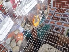 -蓝湾碧波·老字号·疍家非遗海上餐厅