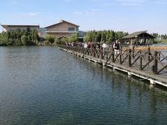 -溱湖国家湿地公园