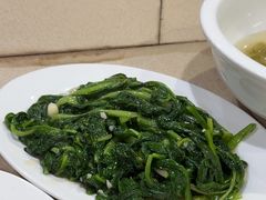 -肥志大排档(广场路店)