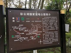 -重庆彩云湖湿地公园