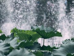 -龙头寺公园