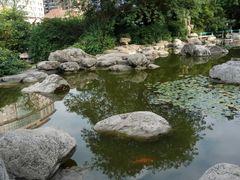 -神仙树公园