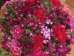 -芭莉与彩虹西餐厅(成都合生汇店)