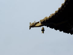 -西安市广仁寺