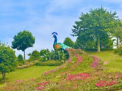 -东莞植物园