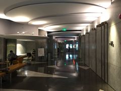 -百美汇影城(LUXE嘉里中心店)