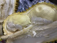-阿荣24H宠物医院·综合型转诊中心·CT·核磁影像中心