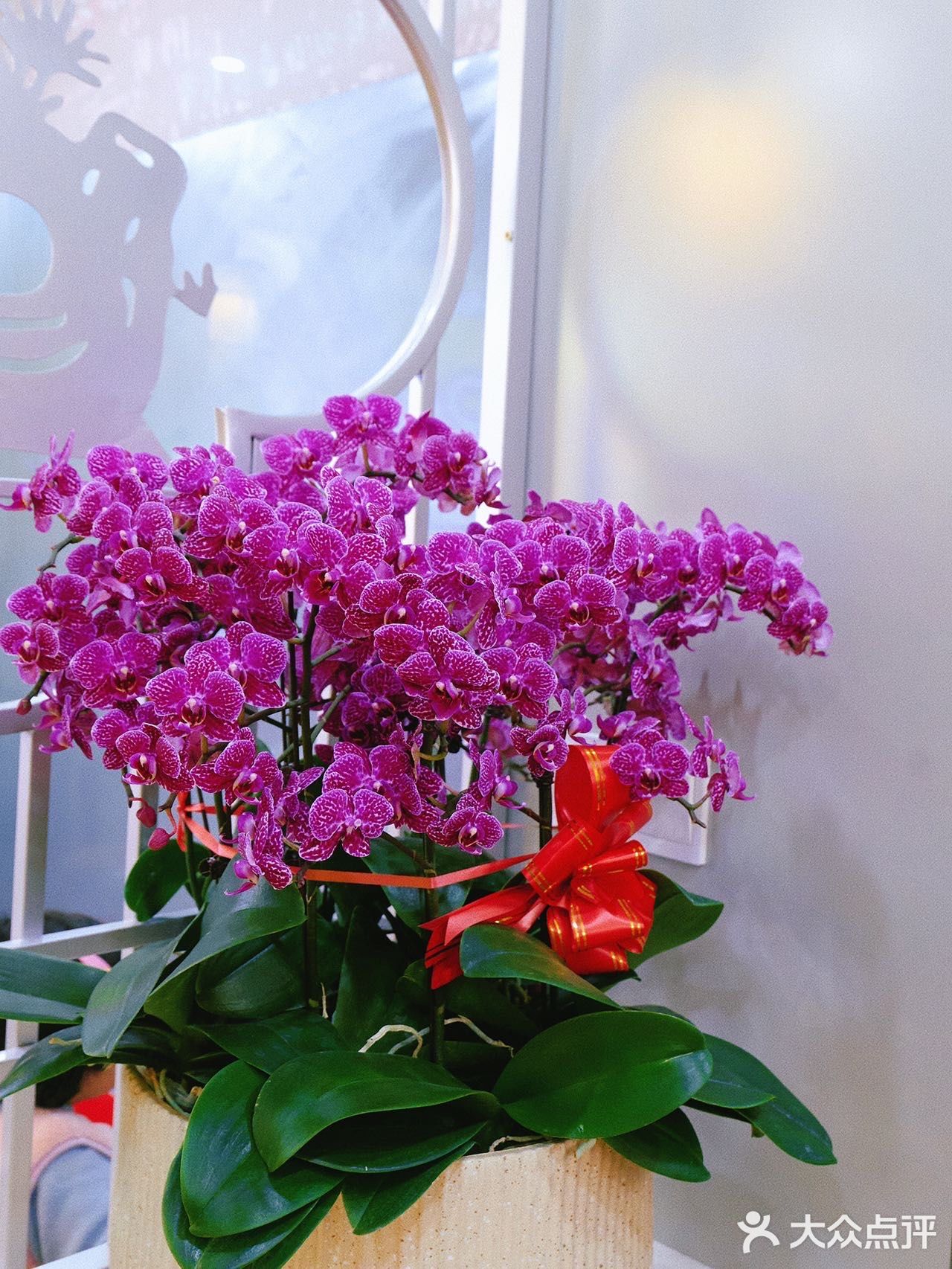 这个冬天❄️川渝鱼蛙火锅必须拥有姓名‼️