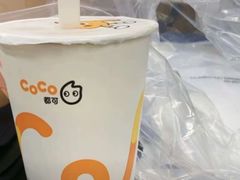 -CoCo都可(濮院齐宏路店)