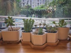 景观位-Cafe Villa