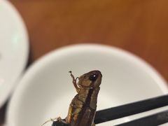 -嘉里饭庄
