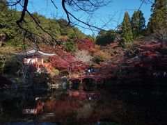 -醍醐寺