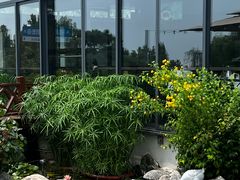 -蘇河湾·新鲁菜·泰山宴(泰山店)