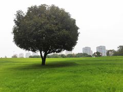 -重庆中央公园(渝北区)