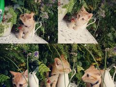 -广州迷途主题旅馆(海珠广场店)