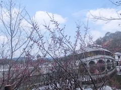 -梁野山景区