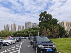 -文华公园(禅城区)