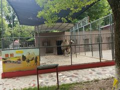 -荆州中山公园动物园