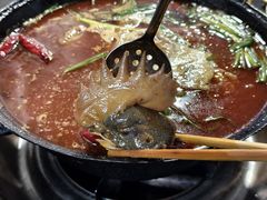 -石灰市毛记烧鸡公(解放碑店)