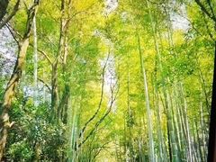 -故乡缘·香格里拉山庄(冷竹路店)