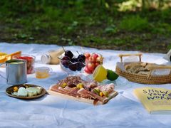 -上海共青森林公园