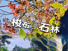 -梭布垭石林景区