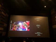 -武商摩尔影城(国广IMAX激光店)
