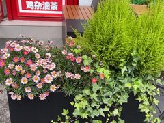 -大王油茶(二厂文创公园店)