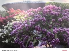 -杭州城北体育公园