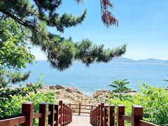 -养马岛旅游度假区