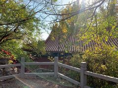 -戏马台景区