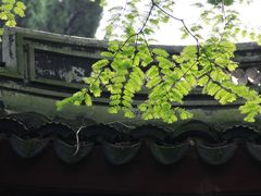 -汇龙潭