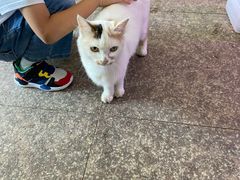 -双季花艺园艺市场(浦东店)