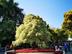 -深圳国际园林花卉博览园