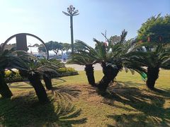 -石炮台公园