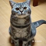 烤肉的诱惑味道！打包！