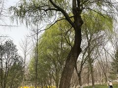 -秀水公园