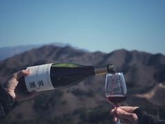 -蟠龙山长城景区