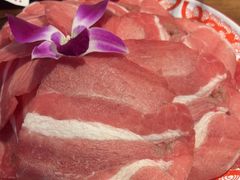 -楠火锅(仁恒梦中心店)