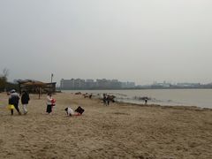 -九龙湖公园