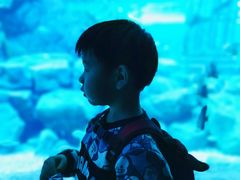 -哈尔滨波塞冬海底世界