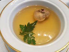 西洋参·鸽吞燕-民国红公馆·艺文空间(颐和路店)