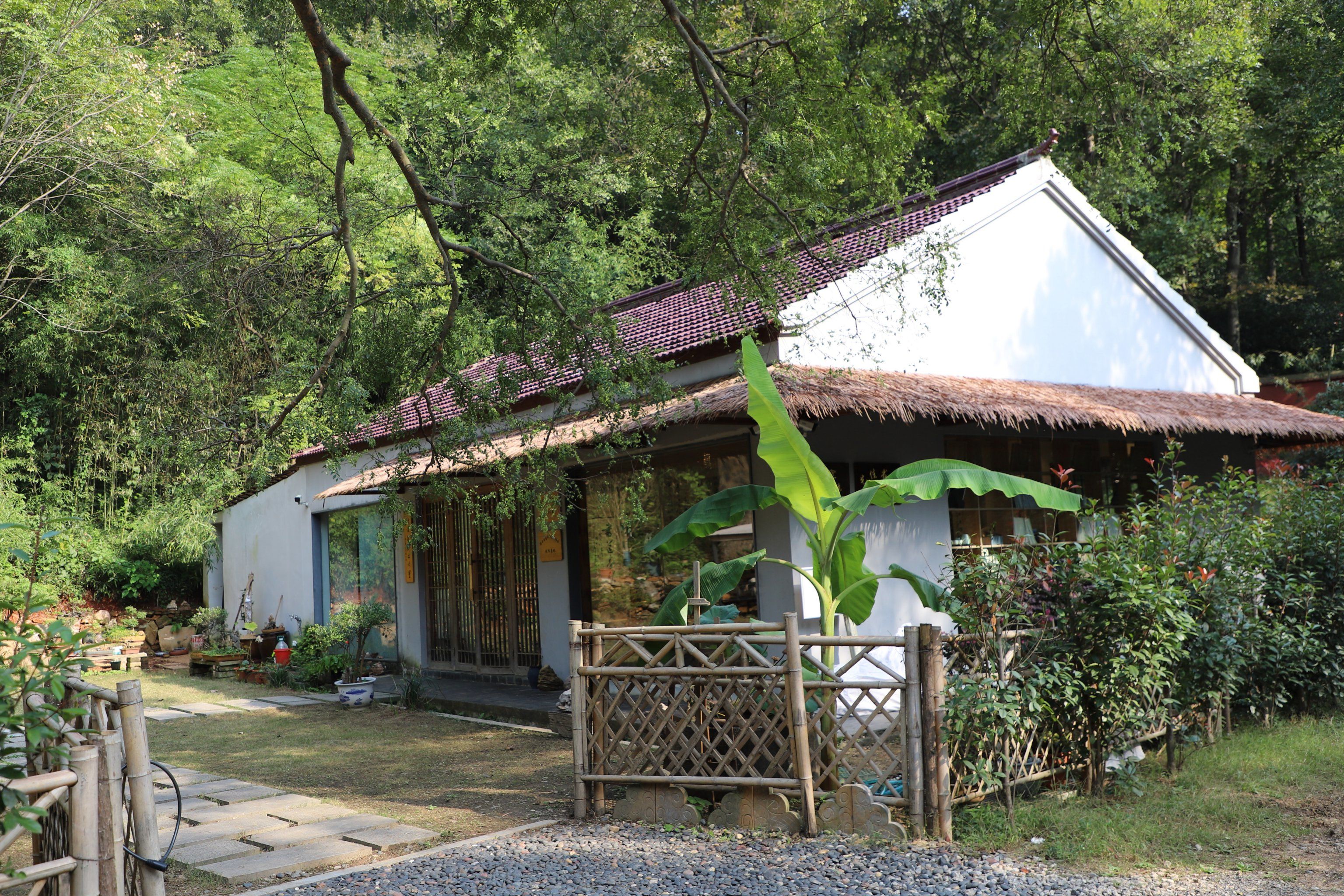 森林中的休闲时光