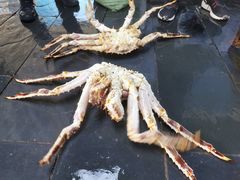 -马王堆海鲜水产市场